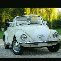 Auto scelta e voi che avete scelto? - 1