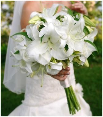 bouket lilium bianco