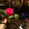 Rosa