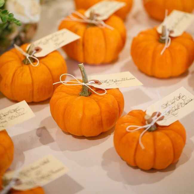 Segnaposto ✔️ - 7