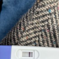 Chi non le aspetta per Marzo 2025 🍀🌸💐🌺 - 1