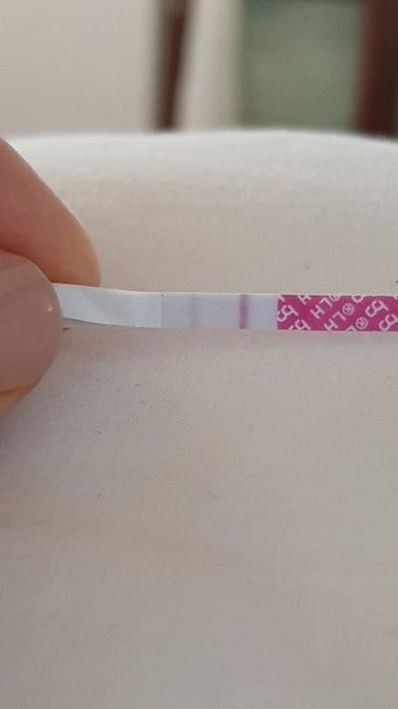Test ovulazione nel p.o. - opinione - 1