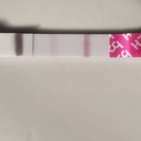 Chi non le aspetta per Marzo 2020 - 1