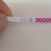 Test ovulazione nel p.o. - opinione - 1