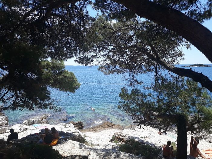Mareeee...