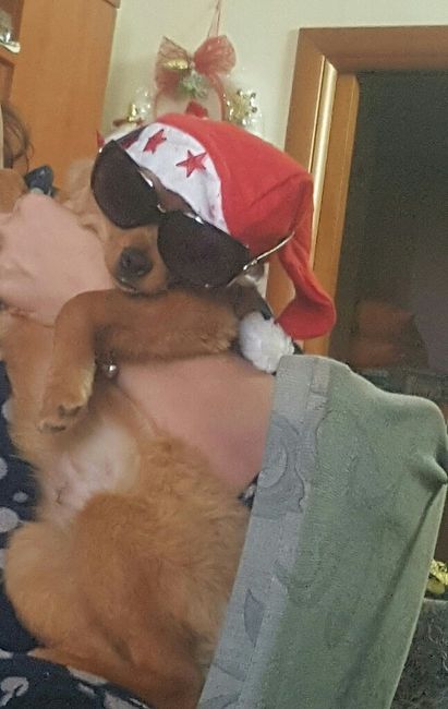 I miei bambini a 4 zampe - 3