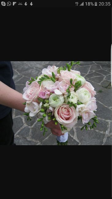 Ma secondo voi... - 3