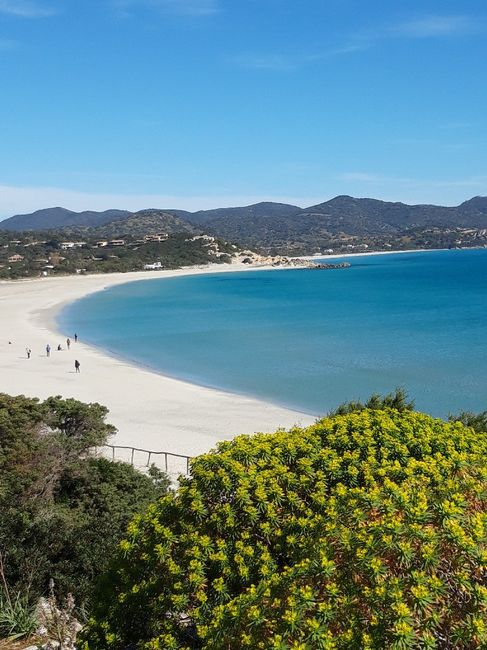 Spose del sud.. Ho bisogno di voi!!!!!! - 3