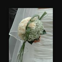 Che fioraio mi consigliate a brindisi - 1