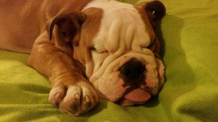 Io....luiii....e il nostrooo totÒ? - 1