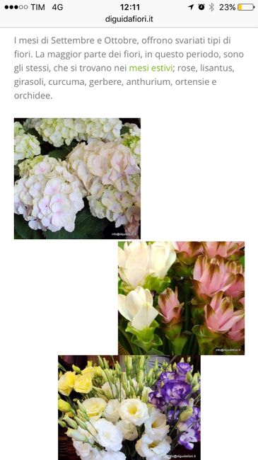 Sposine di settembre :fiori - 1