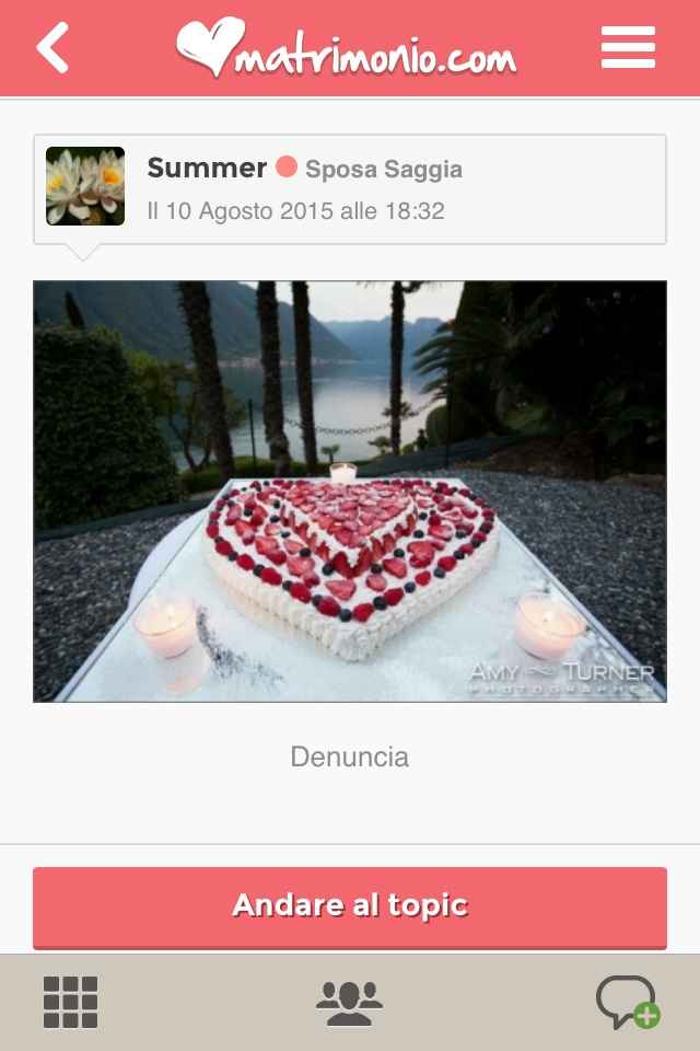 Mania di torte finte - 4