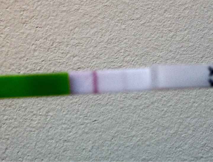 Aspiranti pancine di maggio ❤️ - 1