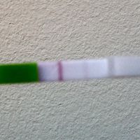 Aspiranti pancine di maggio ❤️ - 1