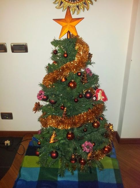 Albero