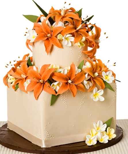 torta 4