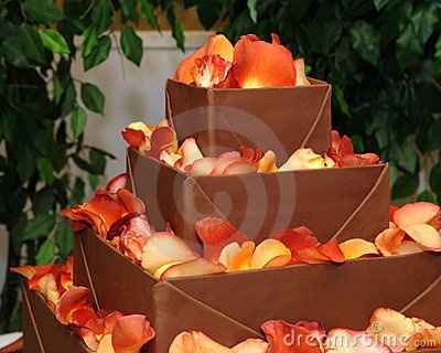 torta 11