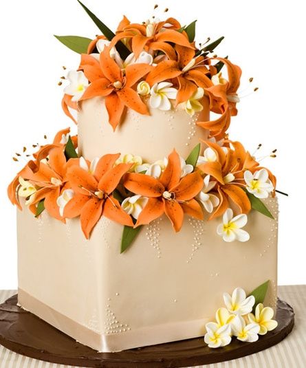 torta 4
