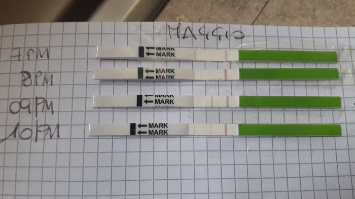 Test ovulazione canadesi 1