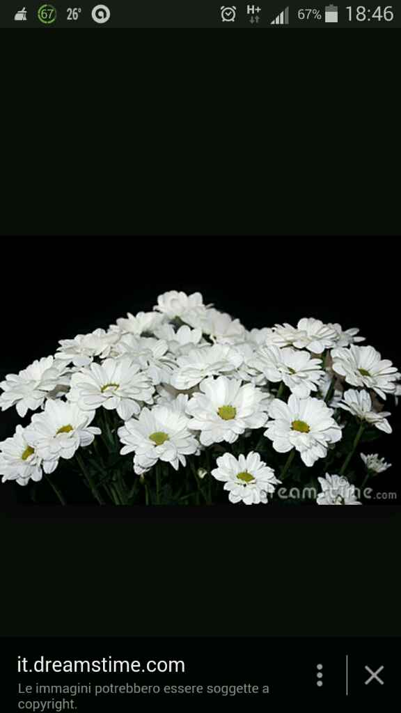 Fiori di campo ad ottobre? - 1