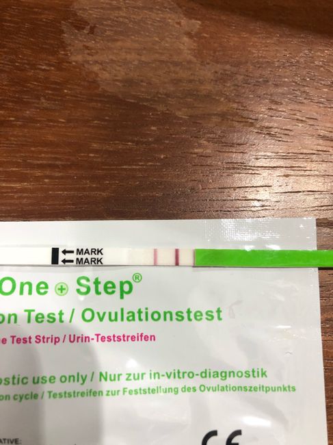 Aiuto stick ovulazione - 1