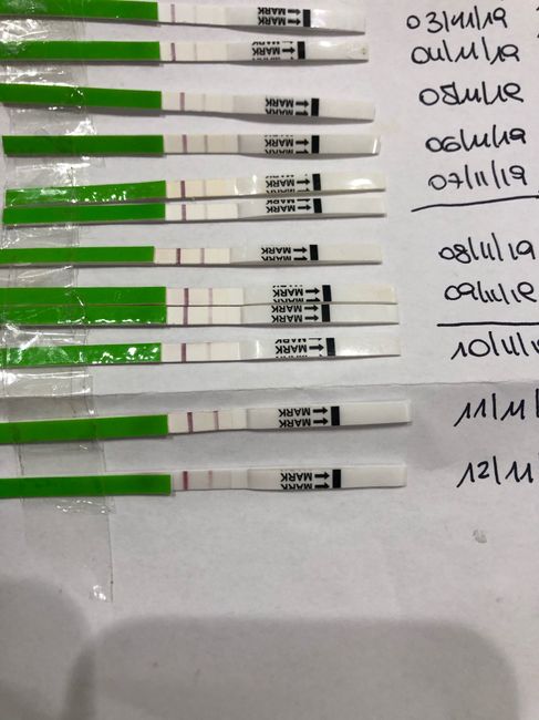 Aiuto stick ovulazione - 1