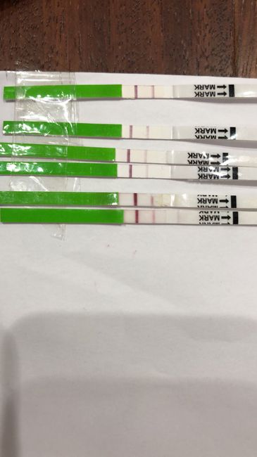 Aiuto stick ovulazione - 1