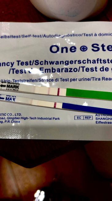 Aiuto stick ovulazione - 1