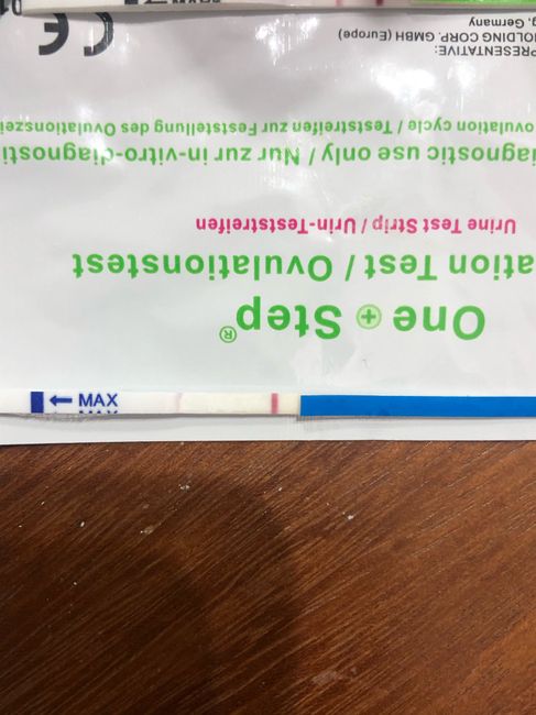 Aiuto stick ovulazione - 1