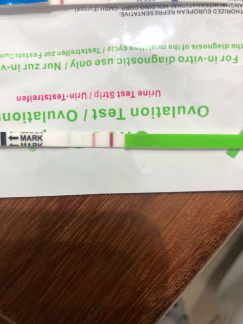 Aiuto stick ovulazione - 2