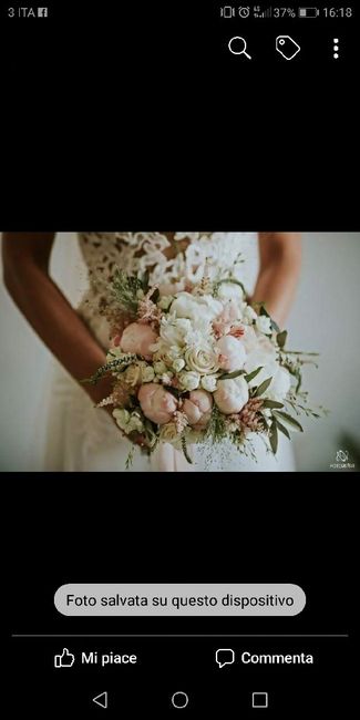 Bouquet bouquet e ancora bouquet !! - 1