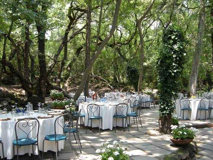 Location bosco per cerimonia e banchetto - 1