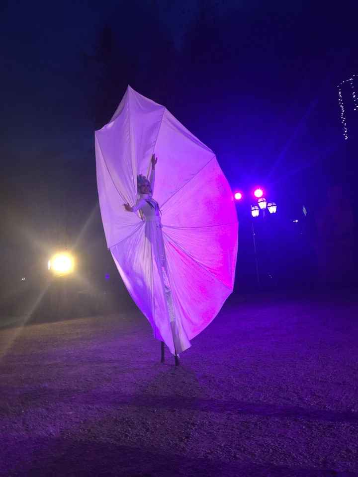 Spettacolo farfalle luminose - 1