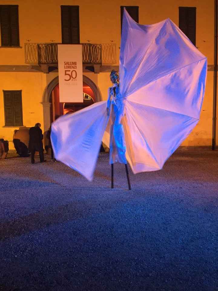 Spettacolo farfalle luminose - 2