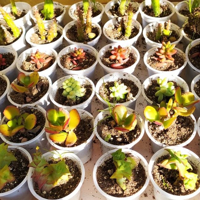 Wedding Nerd pt 3 11