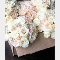 Fiori - 1