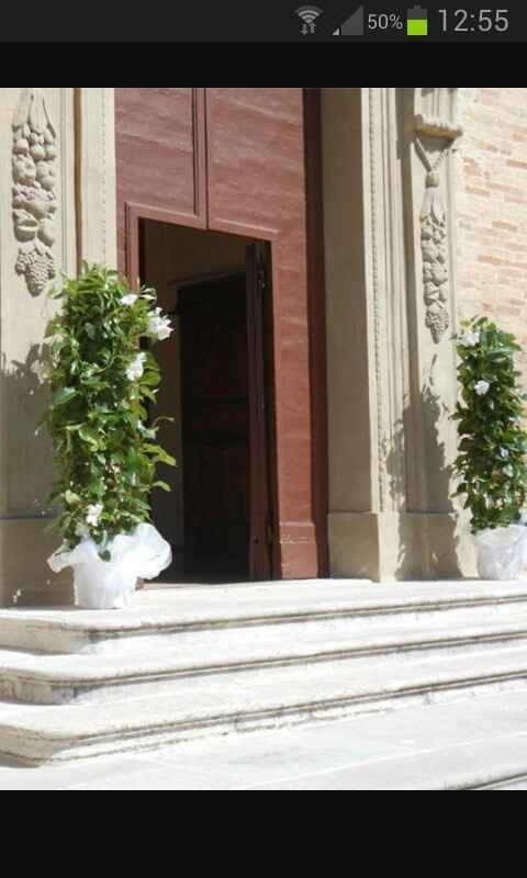 Quali sono i fiori più economici.? - 1