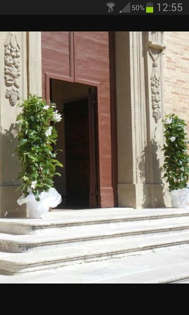 Quali sono i fiori più economici.? - 1