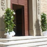 Quali sono i fiori più economici.? - 1