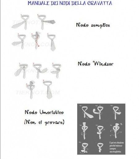 Manuale del perfetto testimone!