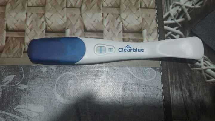 Aspiranti pancine di aprile! - 1