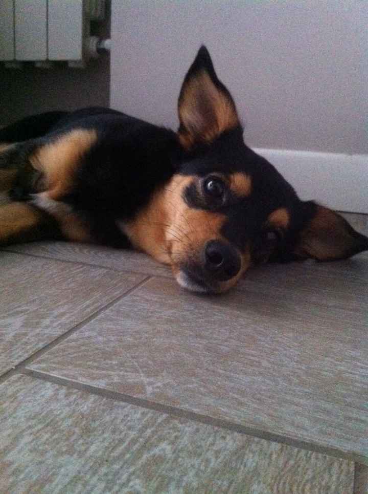 Il mio terzo uomo è bellissimo! - 1