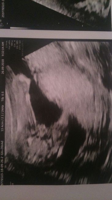 Consigli maschio o femmina 2