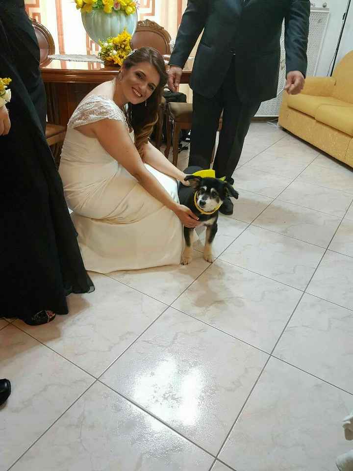 Amici a 4 zampe! - 2