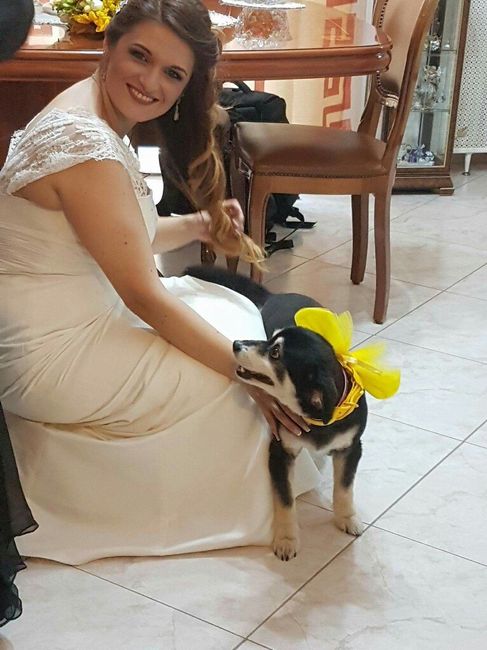 Il nostro 24 giugno - 8