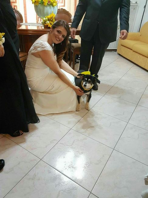 Amici a 4 zampe! - 2