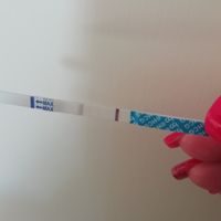 Test gradivanza canadesi... Aiuto - 2