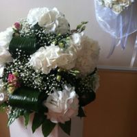 Ho cambiato idea sui fiori - 1