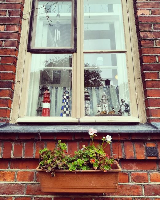 Viaggio di nozze tappa 4: Helsinki 6