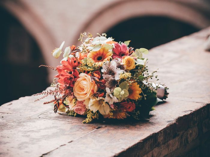 Sono arrivate le foto ✌🏻 4